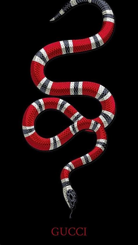 gucci fibbia serpente|origin of gucci snake.